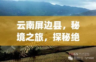 云南屏边县，秘境之旅，探秘绝美风光与民俗文化攻略！