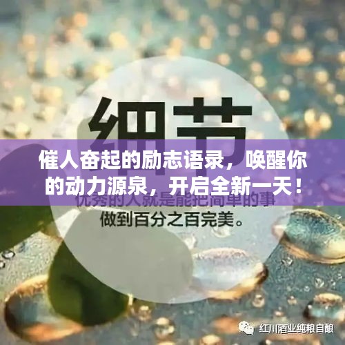 催人奋起的励志语录，唤醒你的动力源泉，开启全新一天！