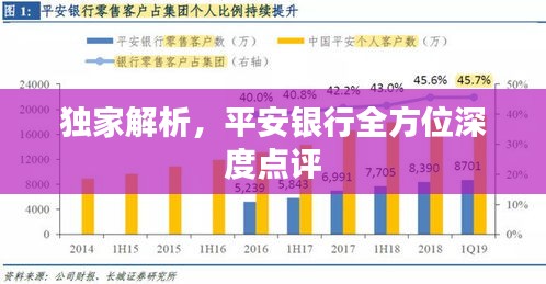 独家解析，平安银行全方位深度点评