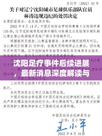 沈阳足疗事件后续进展，最新消息深度解读与观察