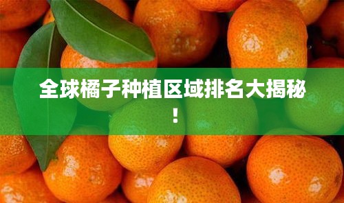 全球橘子种植区域排名大揭秘！