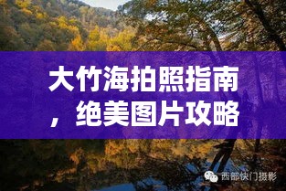 大竹海拍照指南，绝美图片攻略与最新美图分享