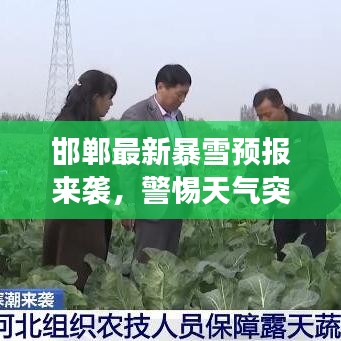 邯郸最新暴雪预报来袭，警惕天气突变！