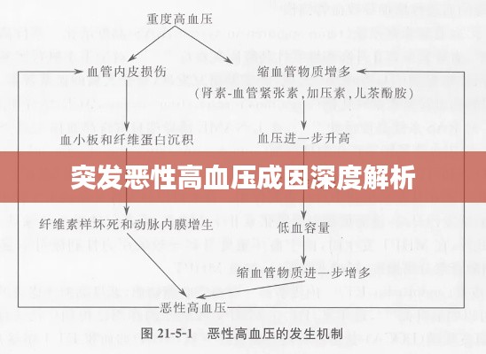 突发恶性高血压成因深度解析