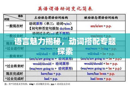 鸟声兽心