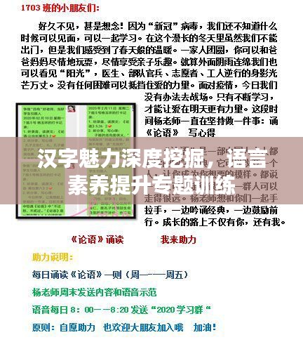 汉字魅力深度挖掘，语言素养提升专题训练