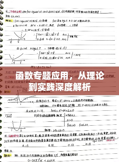 函数专题应用，从理论到实践深度解析